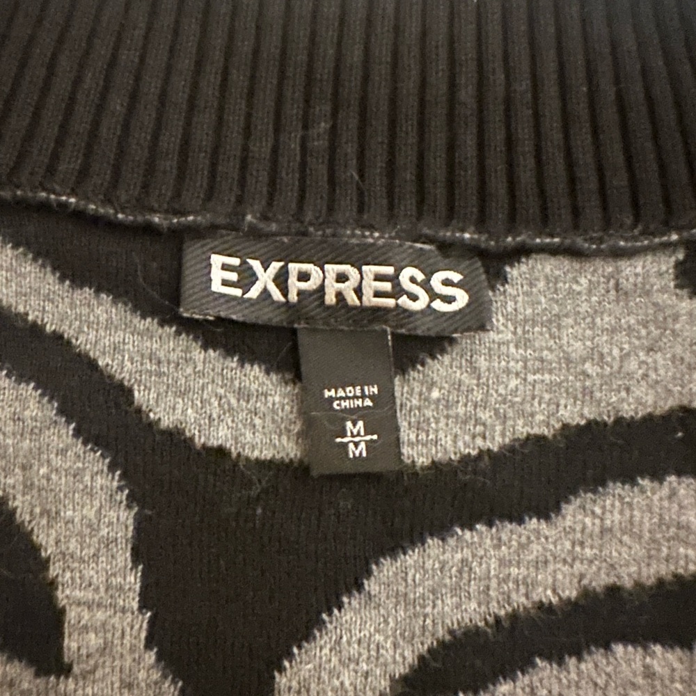 Express Zebra Pattern V-Neck Sweater - image 3
